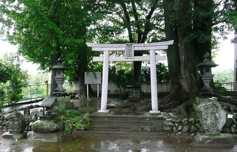 上野国総社神社（こうずけのくにそうじゃ神社）